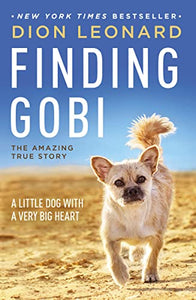 Finding Gobi 