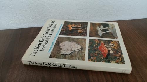 New Field Guide to Fungi