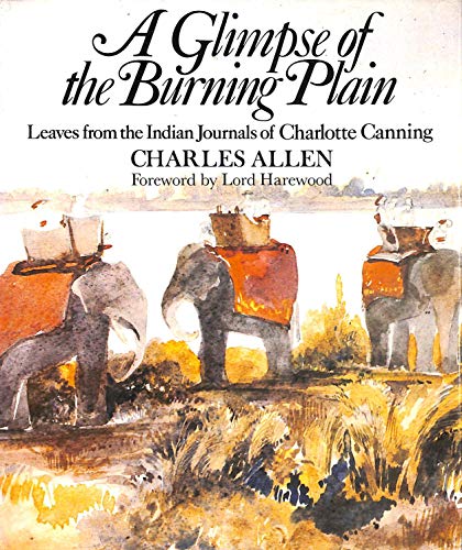 Glimpse of the Burning Plain
