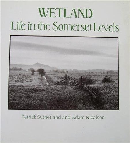 Wetland