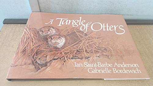 A Tangle of Otters