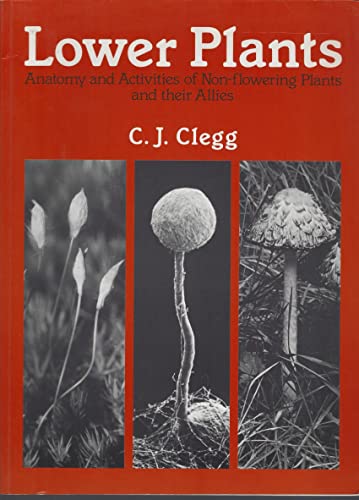 Lower Plants
