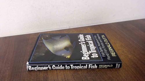 Beginner's Guide to Tropical Fish
