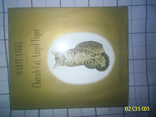 Cherub Cat, Angel Tiger