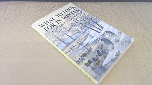 What to Look for in Winter