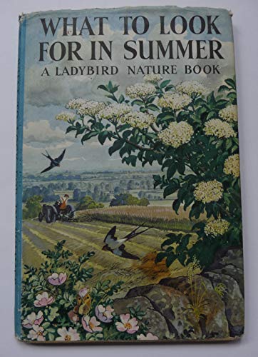 What to Look for in Summer