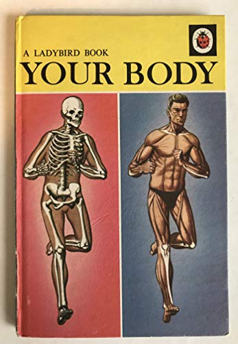 Your Body