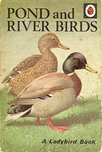 Pond and River Birds