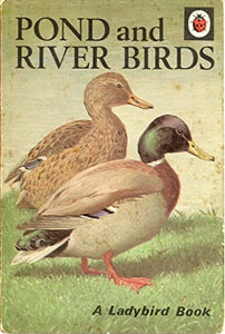 Pond and River Birds 
