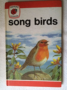 Song Birds 