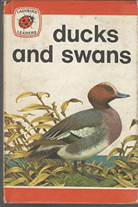 Ducks and Swans 