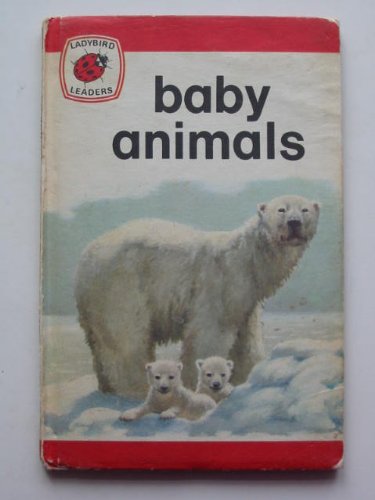 Baby Animals
