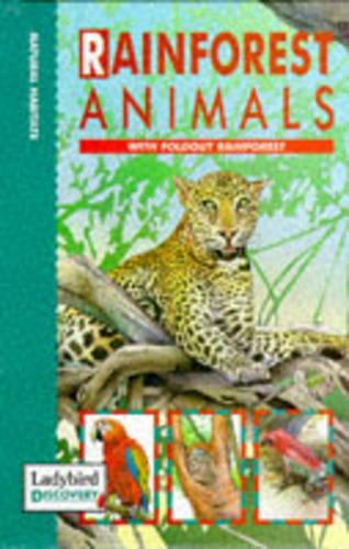 Rain Forest Animals
