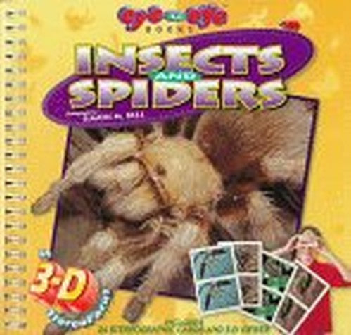 Insects and Spiders