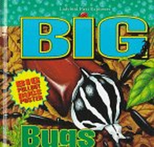 Big Bugs