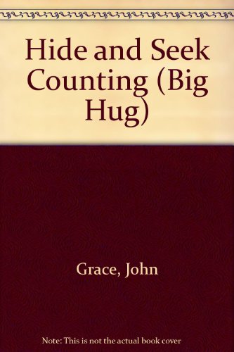 Hide and Seek Counting