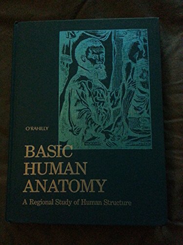 Basic Human Anatomy