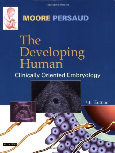 The Developing Human