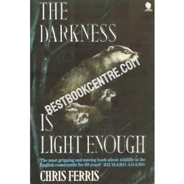 The Darkness is Light Enough