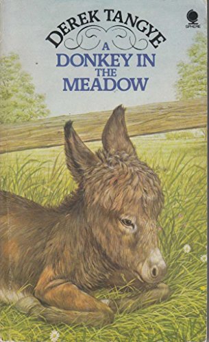 A Donkey in the Meadow