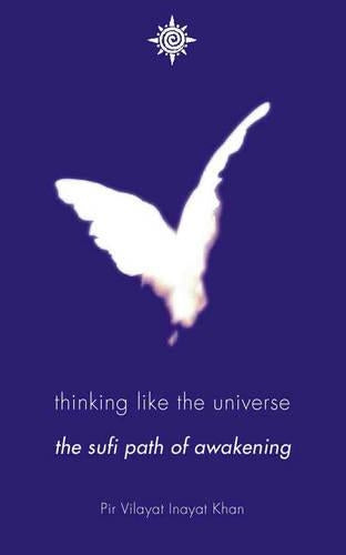 Thinking Like the Universe