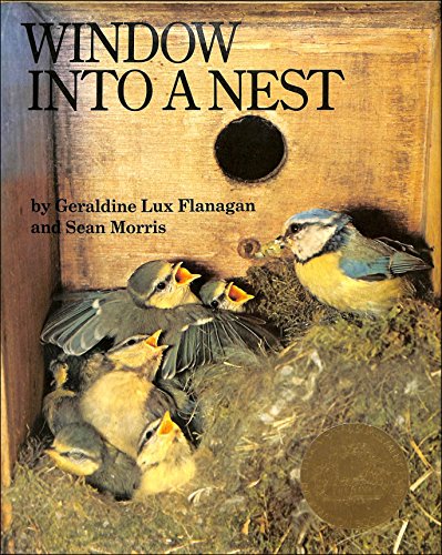 Window into a Nest