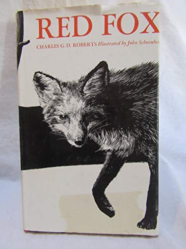 Red fox