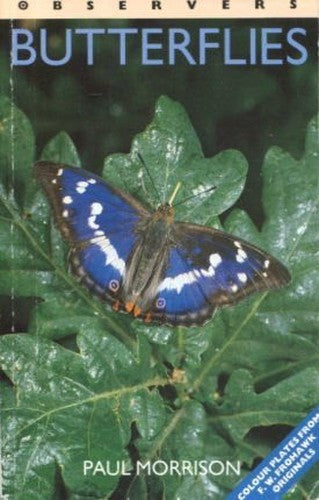 Observers Butterflies