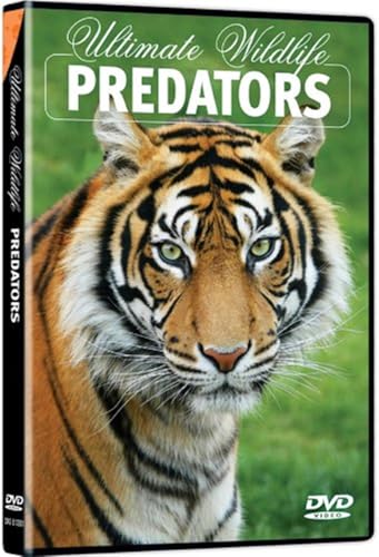 Ultimate Wildlife: Predators