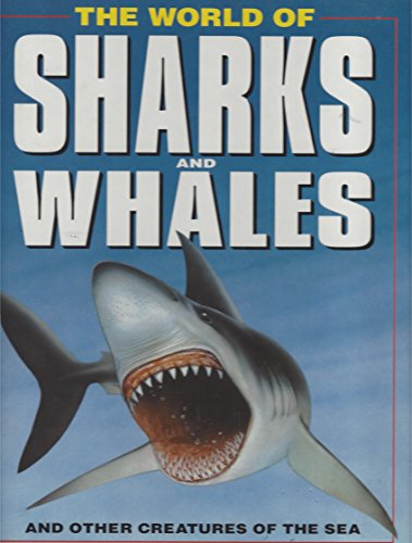 World of Sharks and Whales