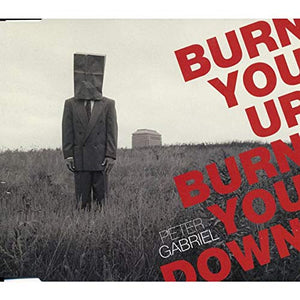 Burn You Up Burn You Down