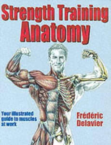 Strength Training Anatomy 