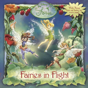 Fairies in Flight 