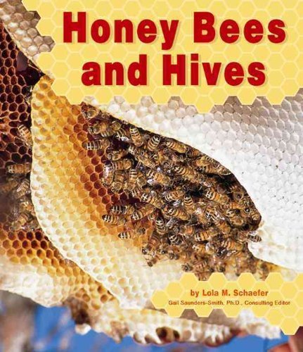 Honey Bees and Hives
