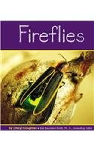 Fireflies