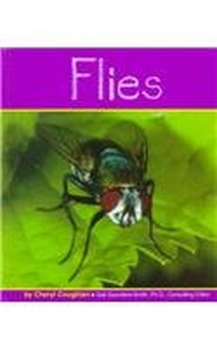 Flies