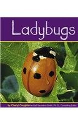 Ladybugs