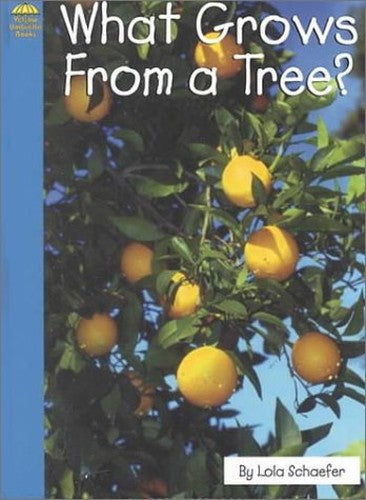 What Grows from a Tree?