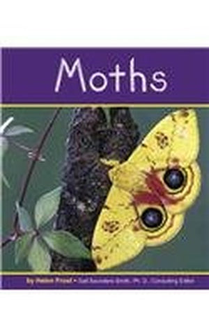 Moths
