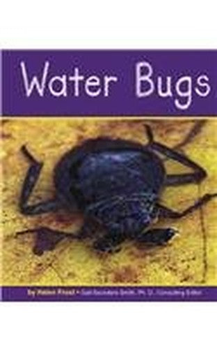 Water Bugs