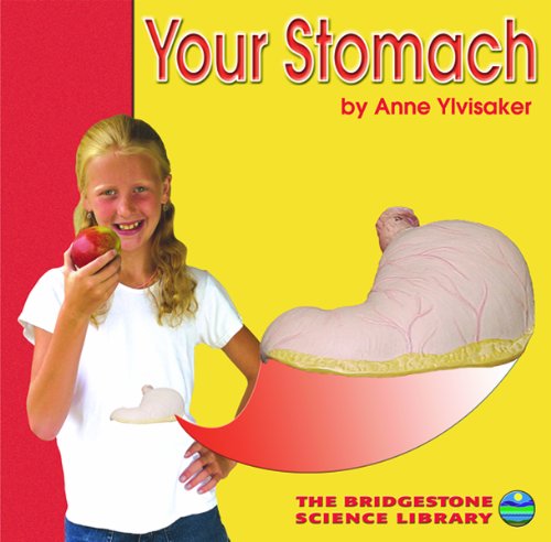 Your Stomach