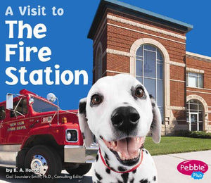The Fire Station