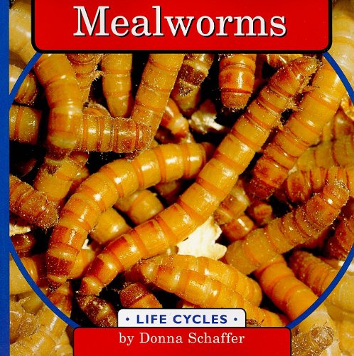 Mealworms