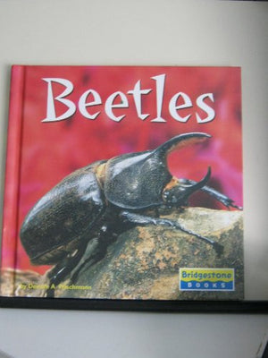 Beetles