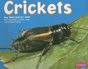 Crickets
