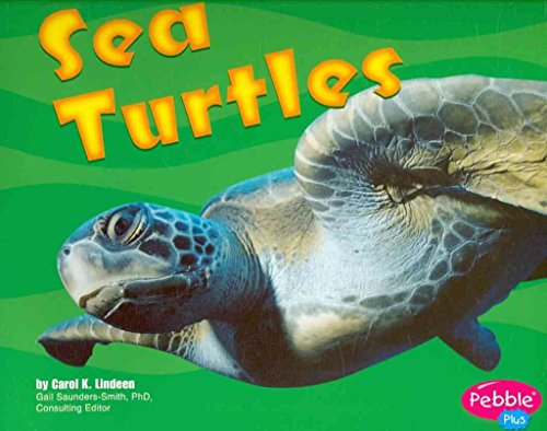 Sea Turtles
