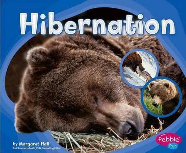 Hibernation