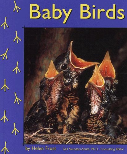 Baby Birds