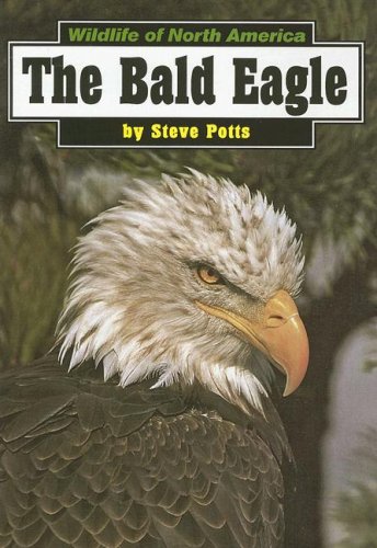 The Bald Eagle