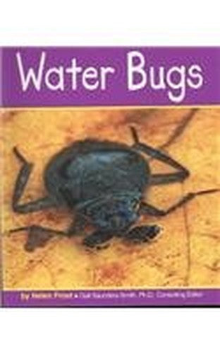 Water Bugs